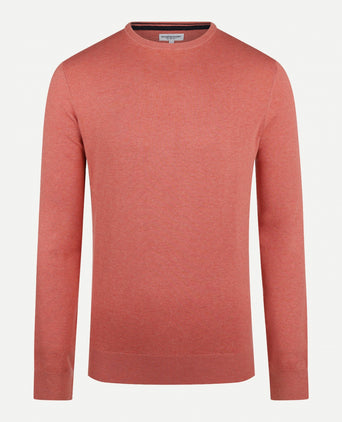 Crew Neck Sweater with Logo | Terra