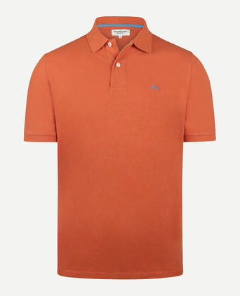 Classic Polo Regular Fit | Terra