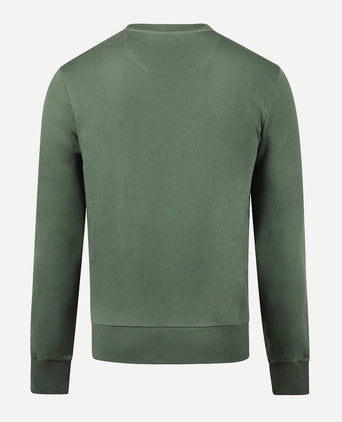 Sweatshirt Graphic Ronde Hals | Winter Sage