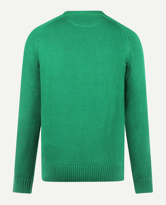 Cotton Crew Neck Sweater | Green
