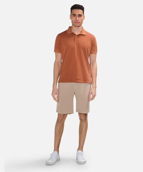 Classic polo regular fit | Brown